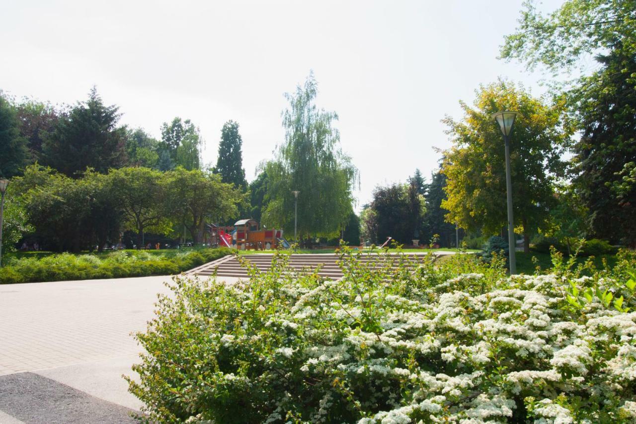 Niebianski Apartament Rzeszów Εξωτερικό φωτογραφία